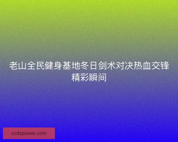 老山全民健身基地冬日剑术对决热血交锋精彩瞬间