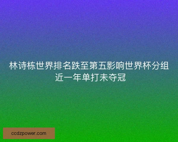 林诗栋世界排名跌至第五影响世界杯分组 近一年单打未夺冠